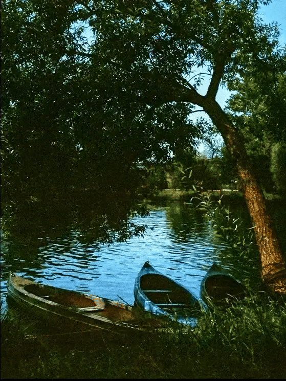 Canoes are Resting