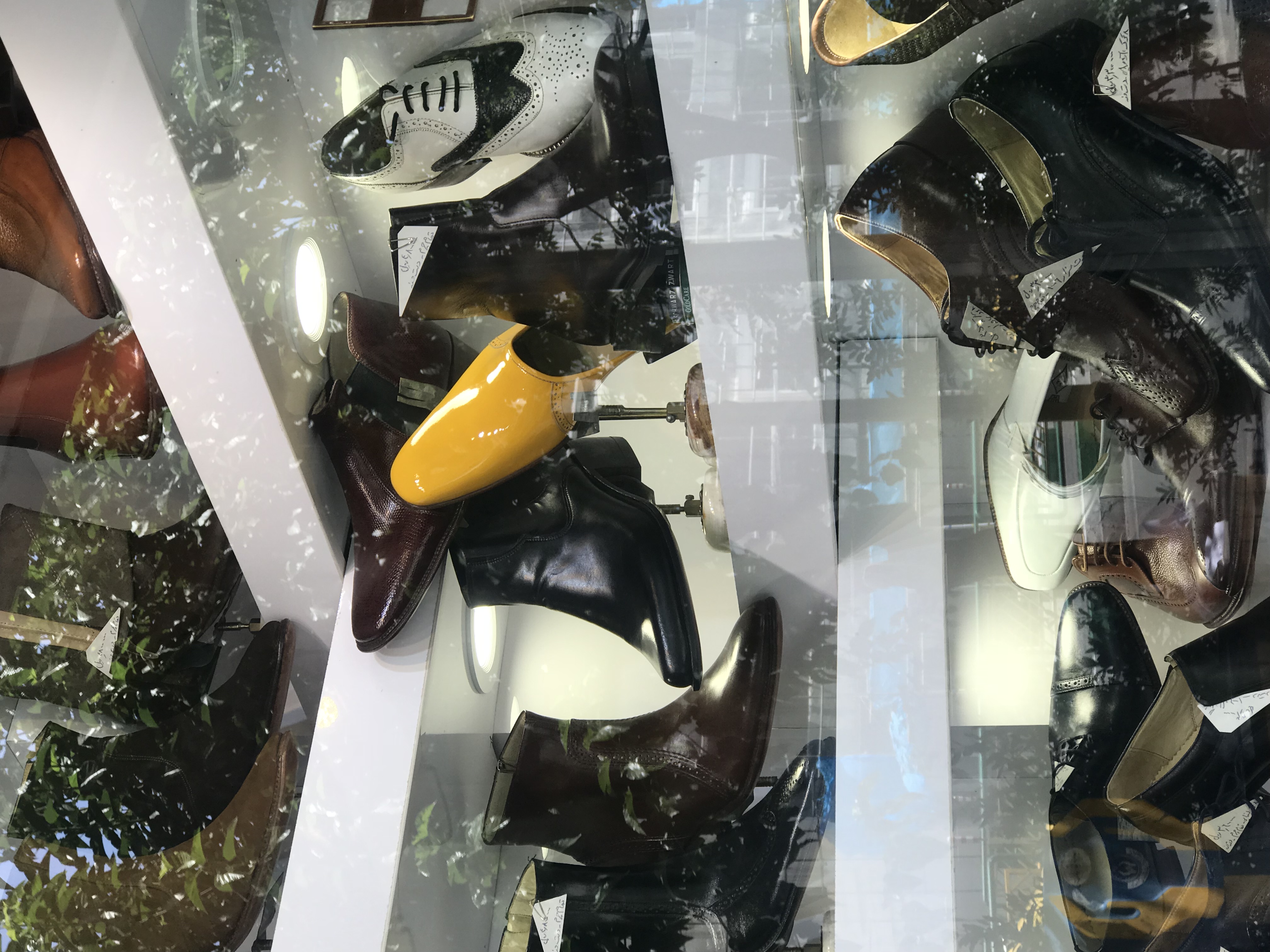 Gaudy Jaunty Shoe